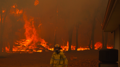 Photo of INCENDI e CLIMA, in fiamme sempre più zone che prima erano inviolate: coinvolta anche l’EUROPA