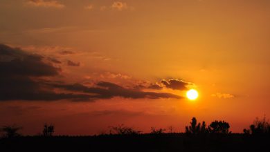 Photo of CALDO ANOMALO: risveglio primaverile, sabato punte di 25°C