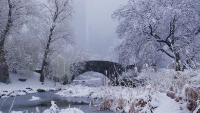 Photo of In arrivo su NEW YORK quasi MEZZO METRO di neve: East Coast travolta da un potente ciclone