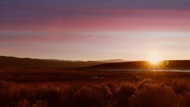 Photo of CALDO RECORD, registrati ieri nuovi primati! ECCO DOVE