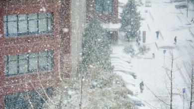 Photo of ONDATA DI GELO al via: rischio di BUFERE DI NEVE, imbiancate anche coste e pianure