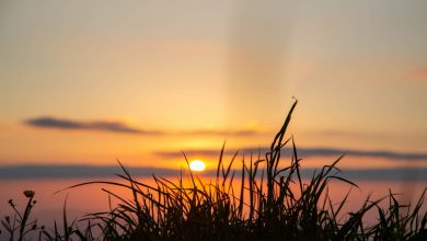 Photo of SOLE e CALDO anomalo anche nei prossimi giorni, ma dal WEEKEND segnali di CAMBIAMENTO