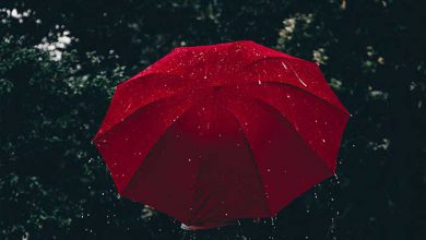 Photo of A GENNAIO ha piovuto il DOPPIO del normale: l’analisi del meteorologo