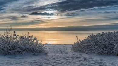 Photo of NEVE SULLE COSTE: è il Sea Effect Snow, l’EFFETTO LAGO dell’Adriatico. Ecco di cosa si tratta
