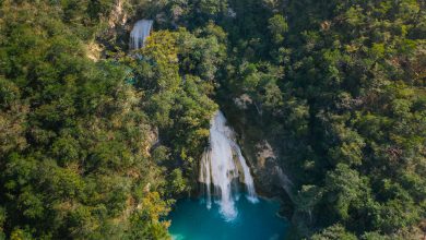 Photo of AMAZZONIA VENDESI: scoperto un TRAFFICO ILLEGALE su Facebook