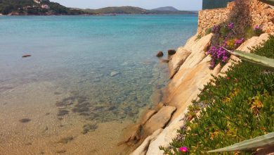 Photo of L’ANTICICLONE riporta la PRIMAVERA: ecco quando finirà il freddo