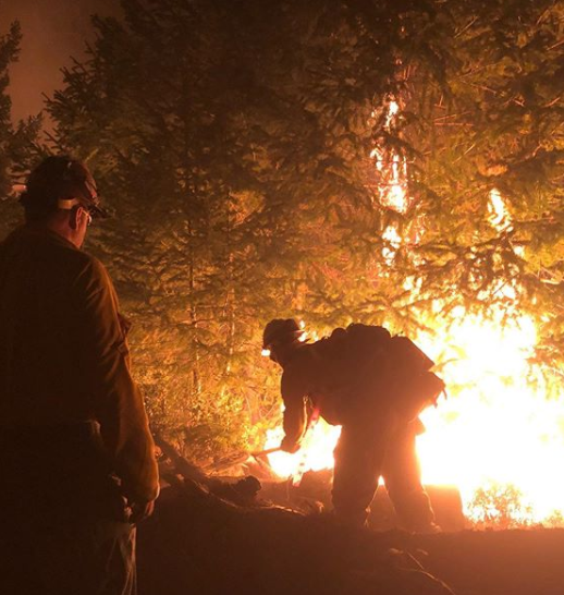 incendi in california