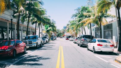 Photo of Clima, Miami rinuncia alle palme: servono alberi che facciano più ombra