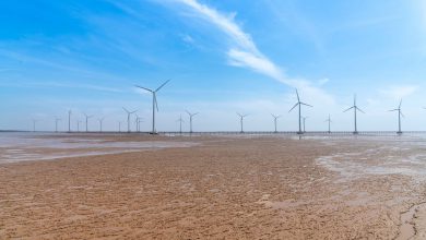 Photo of La Cina punta sul vento: nel 2020 record per le installazioni di parchi eolici
