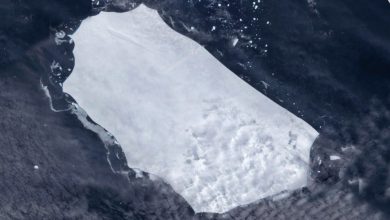 Photo of A68, cosa è successo all’ex ICEBERG più grande del mondo e perché se ne parla tanto