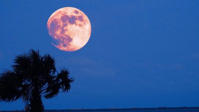 Photo of LUNA ROSA: lo spettacolo della prima SUPERLUNA di questa primavera