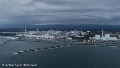 Photo of Il Giappone ha deciso di riversare nell’oceano l’acqua contaminata della centrale nucleare di Fukushima: cosa succede e perché molti sono contrari