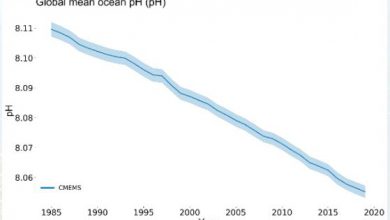Photo of Rapporto sul clima globale, parte II: l’importanza di studiare gli indicatori del clima presente