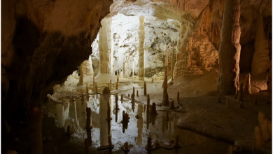 Photo of Le grotte: un patrimonio tanto fragile quanto insostituibile per lo studio dei cambiamenti climatici, della biodiversità e dell’uomo