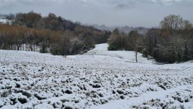 Photo of NEVE a quote incredibilmente basse: GUARDA fin dove è arrivata! Le immagini