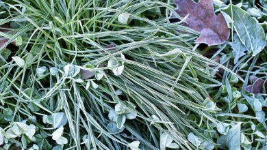 Photo of Alba GELIDA sull’Italia: temperature minime intorno allo ZERO in molte zone