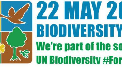 Photo of Domenica molto CALDO al Sud: temperature anche oltre i 30 GRADI! I dettagli