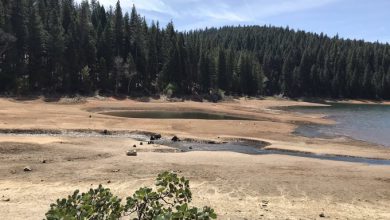 Photo of Siccità, è già emergenza in California: si preannuncia un’estate ad alto rischio