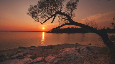 Photo of CALDO AFRICANO al Sud, valori tipici di LUGLIO! Ecco quali sono le zone più calde