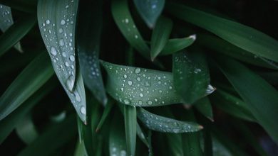 Photo of Altre PERTURBAZIONI in vista durante la settimana: ecco COSA SUCCEDERÀ