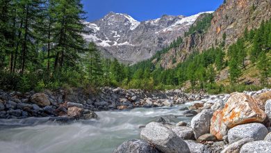 Photo of Ottime notizie sui parchi italiani: 3 fanno parte della prestigiosa “Green List” dell’IUCN