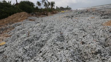 Photo of DISASTRO AMBIENTALE in Sri Lanka: spiagge ricoperte di plastica e combustibili [FOTO e VIDEO]