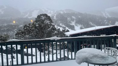 Photo of Australia, ondata di GELO: a Sydney il giorno più FREDDO degli ultimi 37 anni [FOTO]