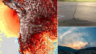 Photo of MAI così CALDO tra CANADA e STATI UNITI: sfiorati i 50 GRADI. Tutti i RECORD