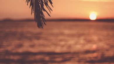 Photo of Prima ONDATA DI CALDO sull’Italia: anche le NOTTI sono roventi! I dati