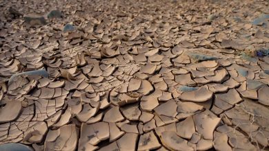 Photo of Usa: l’ondata di caldo estremo sta aggravando la siccità