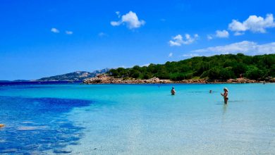 Photo of WEEKEND con l’ANTICICLONE: supereremo i 30 GRADI! Ecco dove