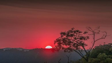 Photo of CALDO africano: al Centro-sud l’ondata di calore proseguirà A LUNGO. I dettagli