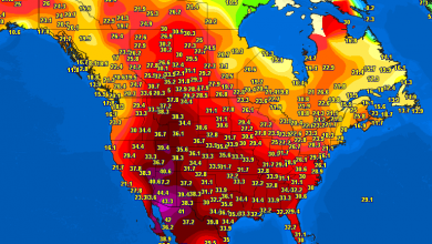 Photo of Stati Uniti travolti da un’ondata di CALDO ESTREMO: si sfioreranno i 50°C!
