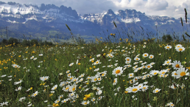 Photo of Circolazione atmosferica sull’Italia: l’analisi della primavera 2021