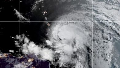 Photo of L’ex URAGANO ELSA causa vittime e danni ai Caraibi e ora punta la Florida