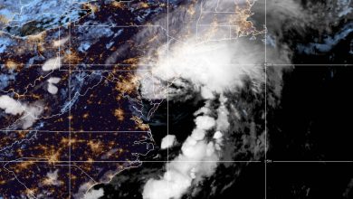 Photo of Tempesta ELSA, una vittima in Florida e feriti in Georgia: gli aggiornamenti