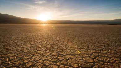 Photo of Il CALDO ESTREMO non dà tregua agli Stati Uniti: oltre 50°C e Oregon in FIAMME
