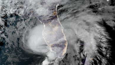 Photo of ELSA ha raggiunto la FLORIDA: allerta uragano per 4 milioni di persone