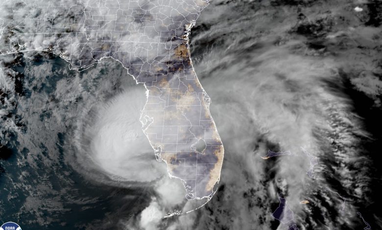 elsa Florida