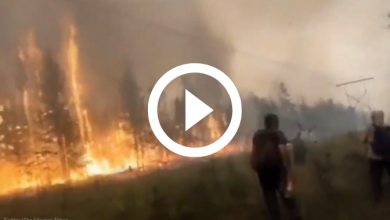 Photo of Siberia, è EMERGENZA INCENDI: in Jacuzia NON SI RESPIRA