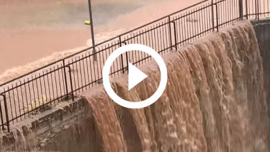 Photo of ALLUVIONE nel Foggiano: in poche ore la pioggia di MEZZO ANNO! [VIDEO]