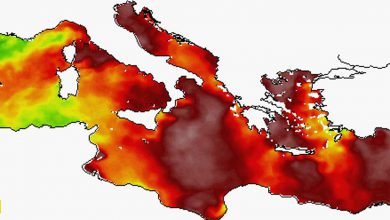 Photo of Mediterraneo bollente: mare fino a 4 gradi più caldo del normale