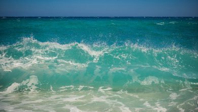 Photo of MARE: i requisiti necessari per diventare BANDIERA BLU