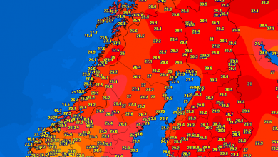 Photo of CALDO RECORD nei paesi nordici: in LAPPONIA il giorno più caldo dal 1914