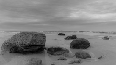 Photo of Mistero svelato nel Maine: i motivi delle macchie nere sui piedi dopo le camminate in spiaggia