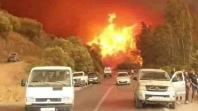 Photo of Grecia, le ONDATE DI CALORE verranno classificate e nominate come le tempeste?