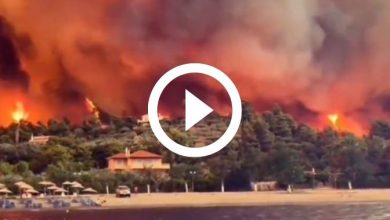 Photo of INCENDI in Grecia: situazione drammatica a EVIA