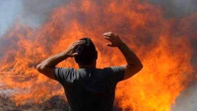 Photo of MONDO SCONVOLTO da caldo, incendi e maltempo estremo: È TROPPO TARDI? Lo studio