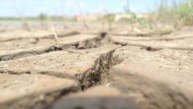 Photo of SICCITÀ: a secco tutto il settore adriatico dall’Emilia-Romagna alla Puglia. La situazione