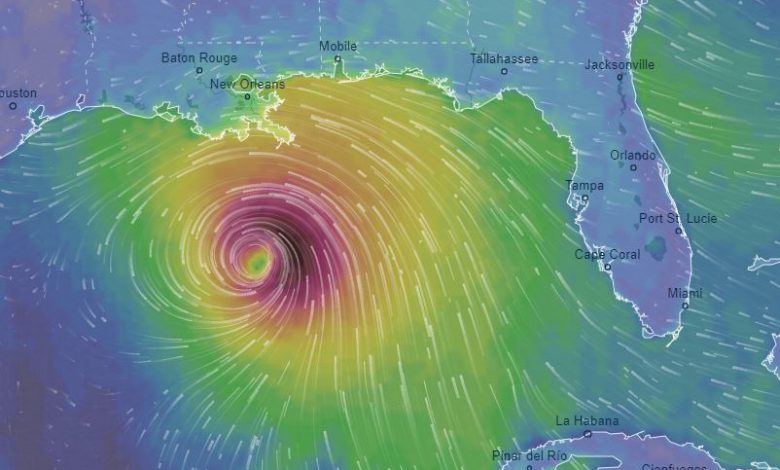 L'Uragano Ida dalla mappa previsionale dei venti nella giornata di domenica 29. Fonte Ventusky